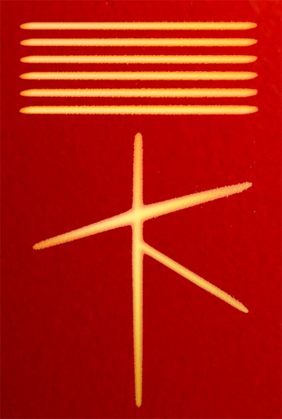 Transformationalist symbol